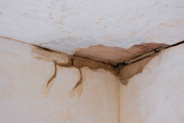 Best Water damage restoration experts  in New Rockford, ND