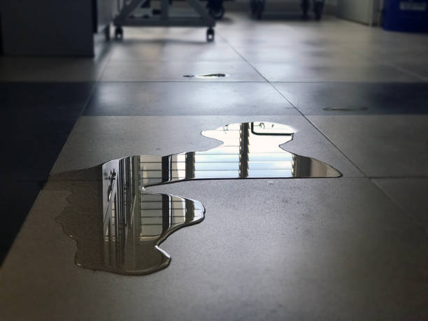 Best Water damage cleanup near me  in New Rockford, ND