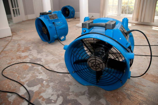 Best Basement water damage restoration  in New Rockford, ND