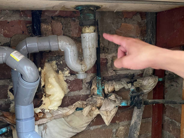 Best Local water damage restoration  in New Rockford, ND